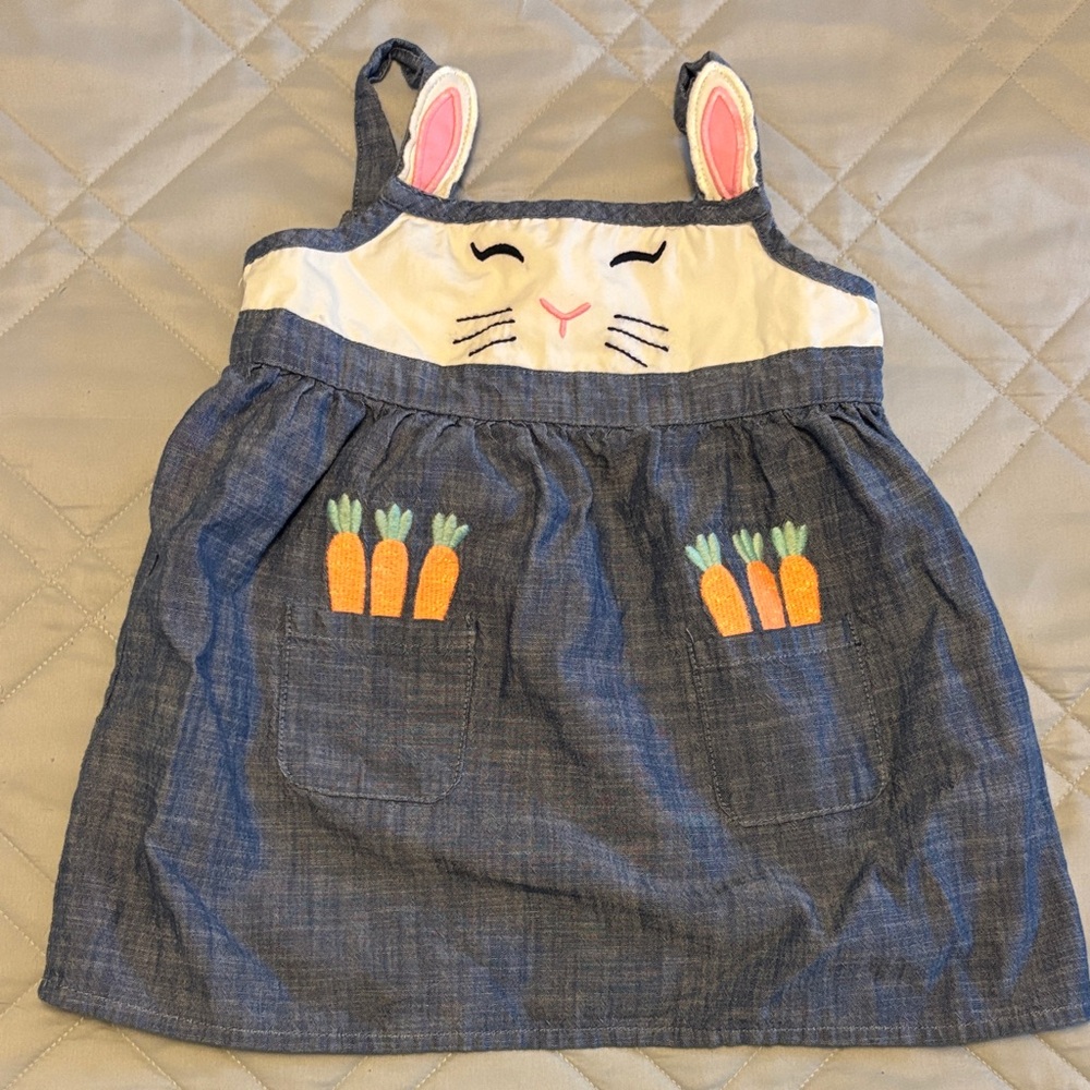 Gymboree Blue and White Bunny Dress